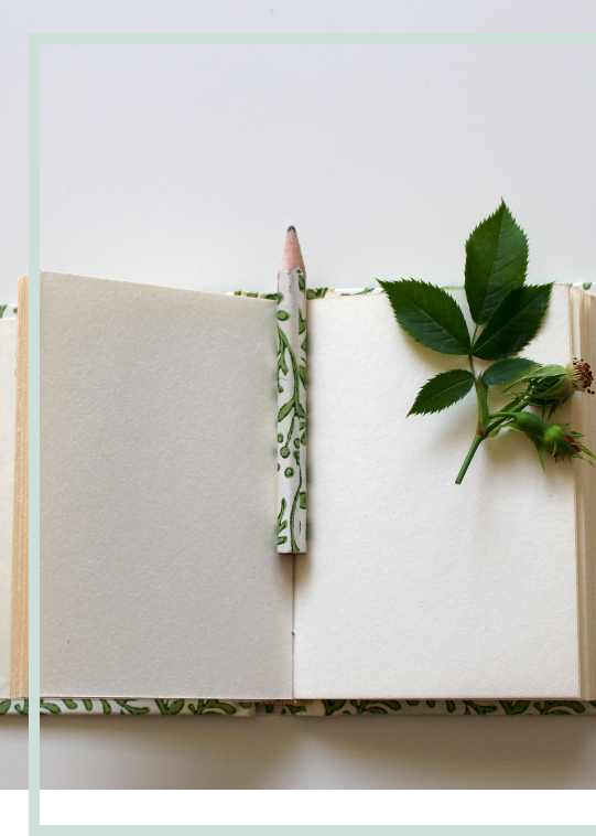 an open notebook with blank pages, a leaf and a green pen.